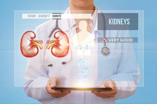 Kidney Health Risks & Prevention